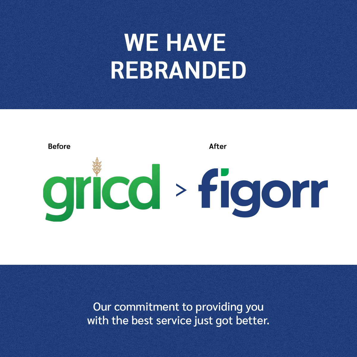 Gricd is now Figorr: Why start-ups change their names