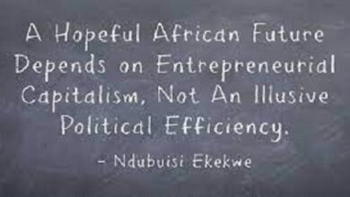 The African Capitalist